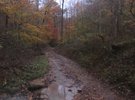 Daniel Boone Backcountry Byway